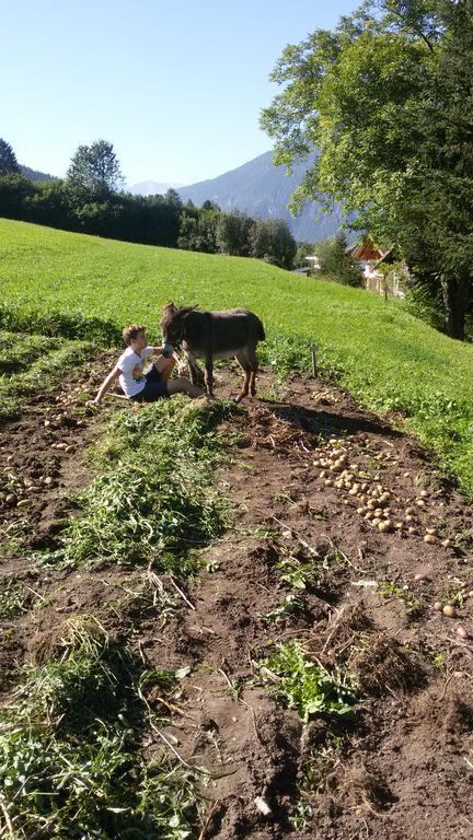 Ferienwohnung Parth Sautens Kültér fotó